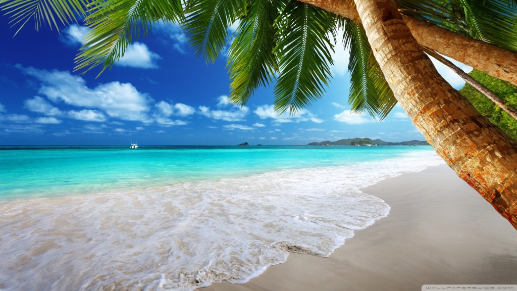 2016 Winter Holidays Places